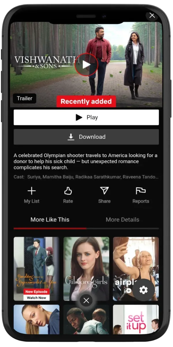 Netflix-Style Interface